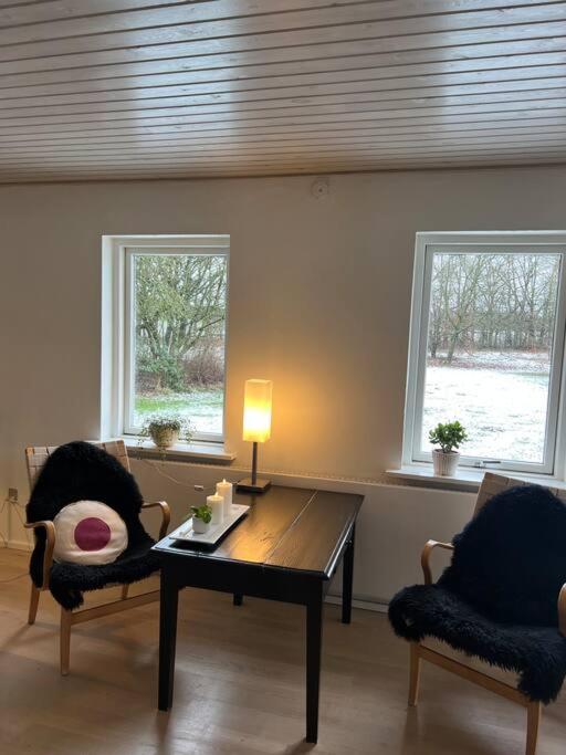فيلا Skont Hus Pa Landet Taet Pa Billund جايف المظهر الخارجي الصورة