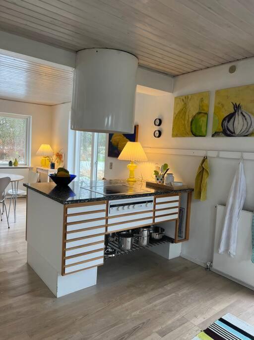 فيلا Skont Hus Pa Landet Taet Pa Billund جايف المظهر الخارجي الصورة