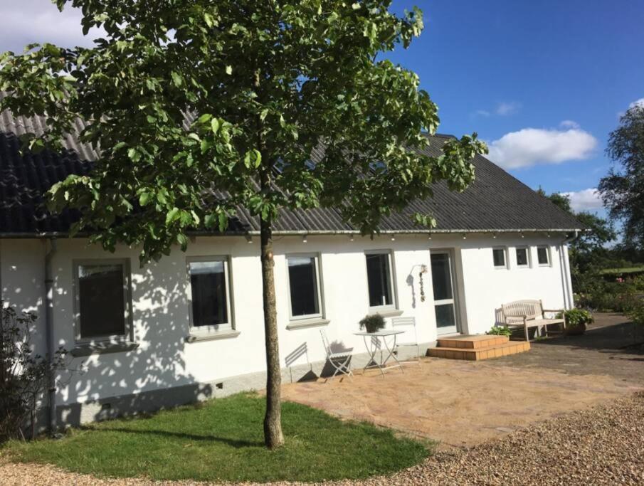 فيلا Skont Hus Pa Landet Taet Pa Billund جايف المظهر الخارجي الصورة