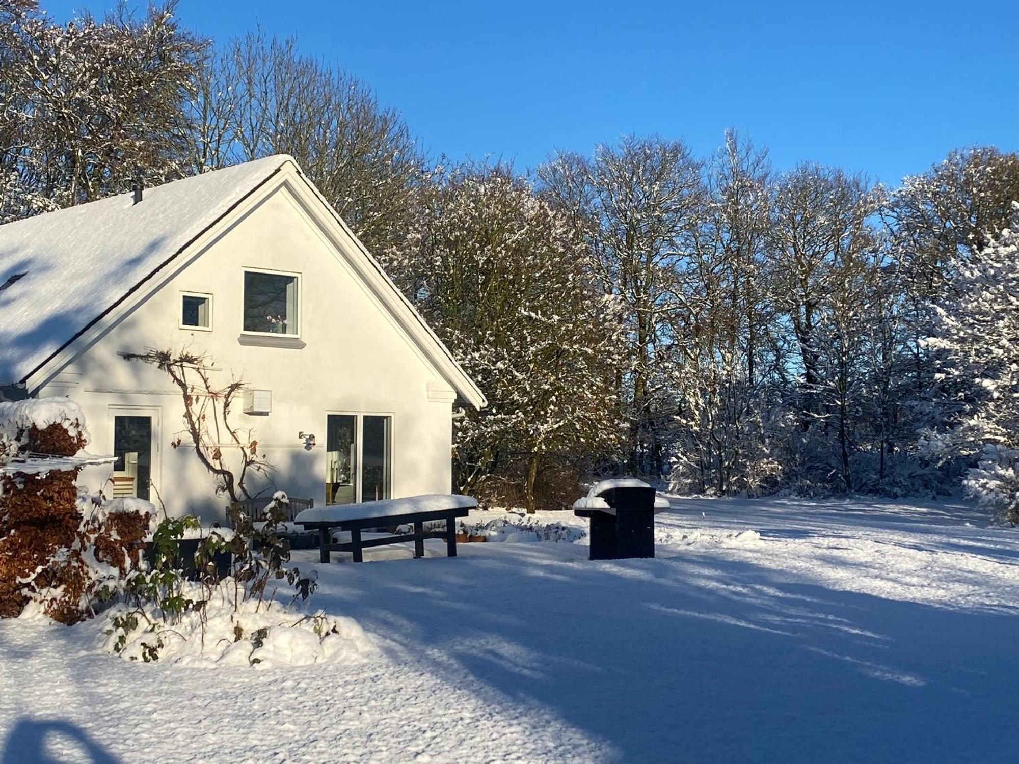فيلا Skont Hus Pa Landet Taet Pa Billund جايف المظهر الخارجي الصورة